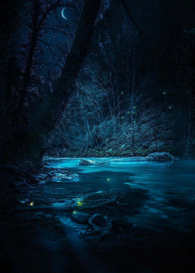 Mystical Night Forest River