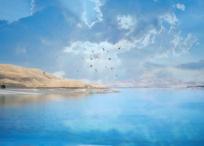 Lake with Birds and Cloudy Sky