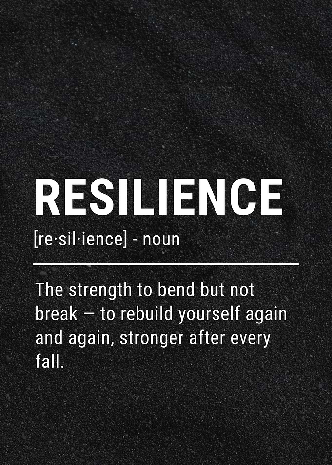 Resilience Definition