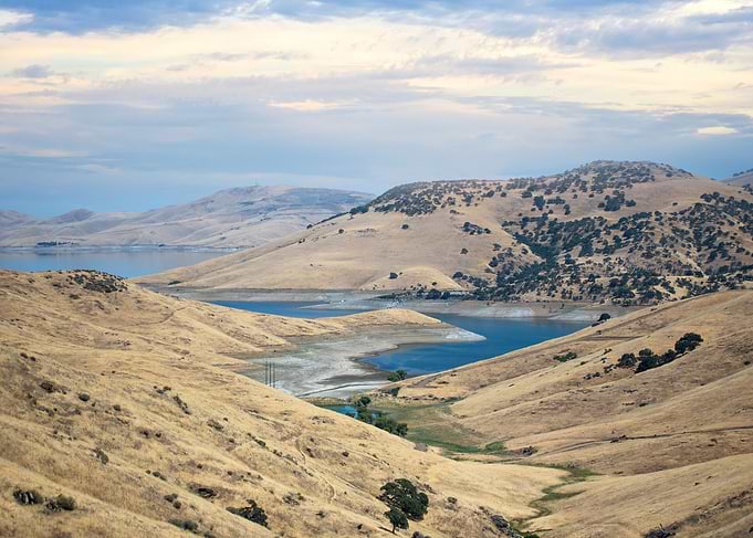 Rolling Hills and Lake Landscape