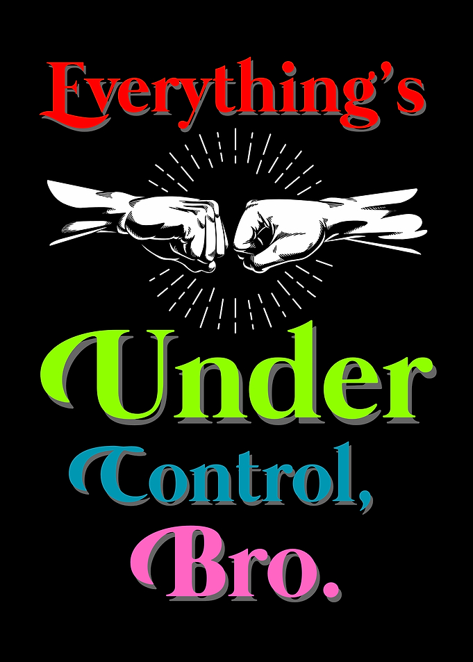 Everything's Under Control, Bro