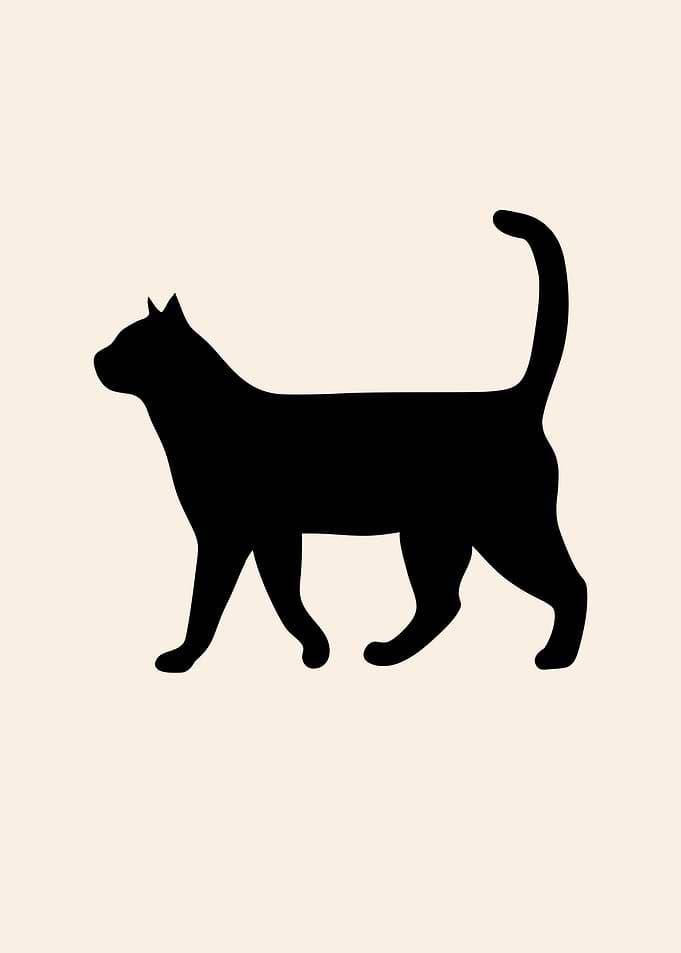 Black Cat Silhouette