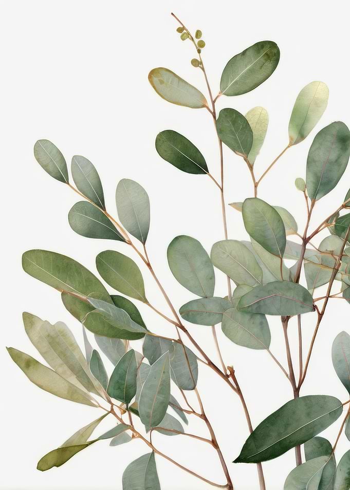 Eucalyptus Watercolor Painting