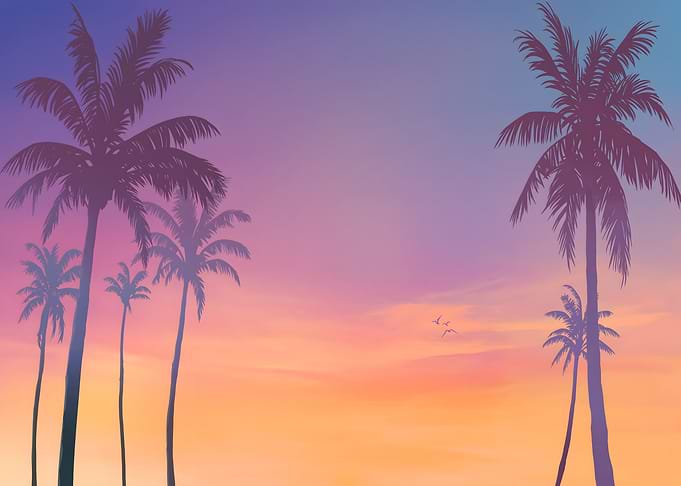 Palm Trees at Sunset