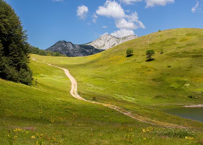 Green Meadow Landscape with Mountain Backdrop