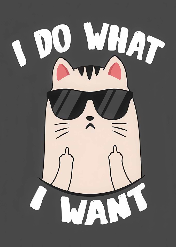 Cool Cat Attitude