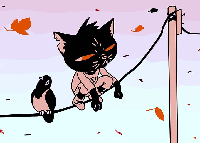night in the woods