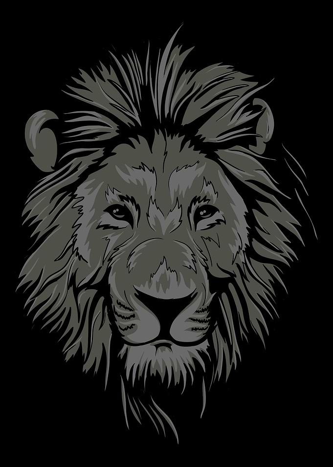 Lion head illustration on black background
