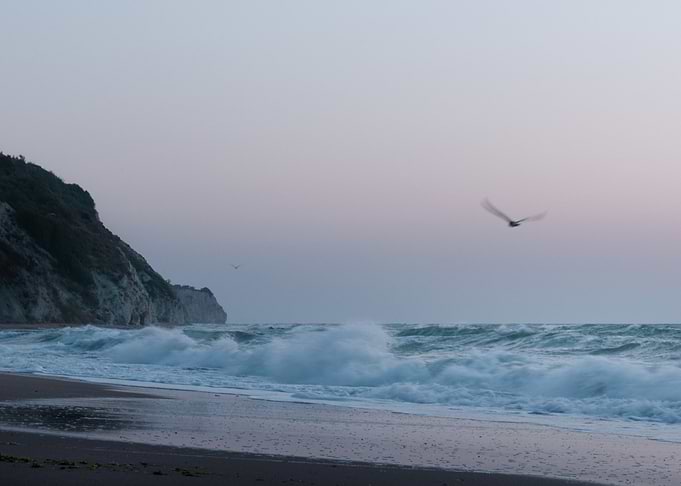 Coastal Energy