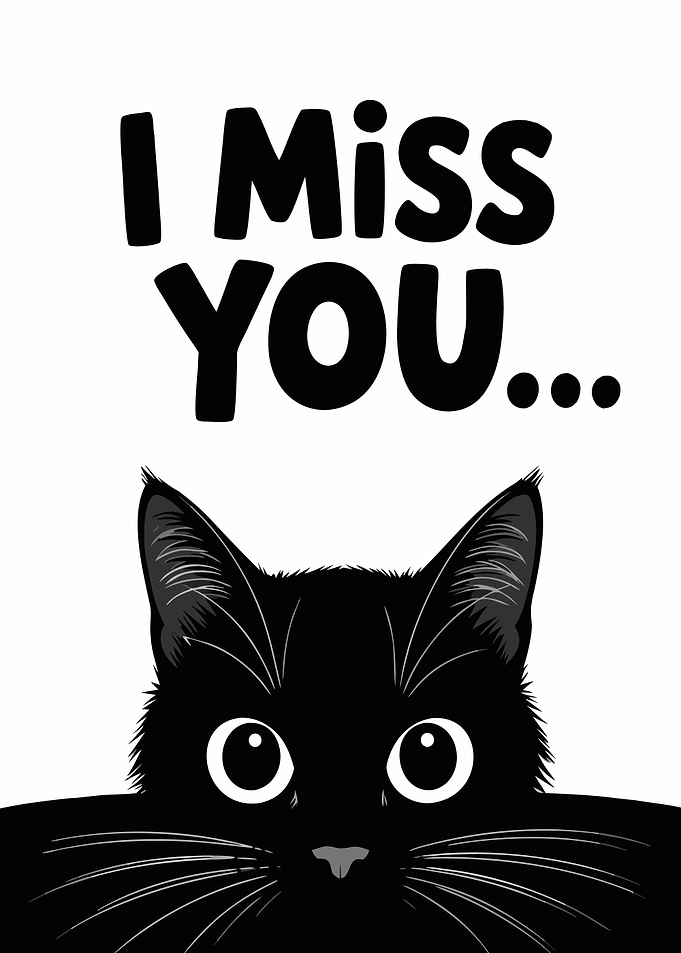I Miss You Black Cat