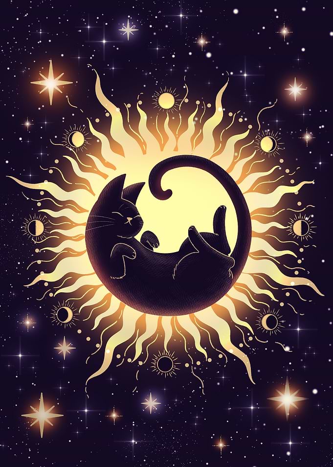 The Solar Cat