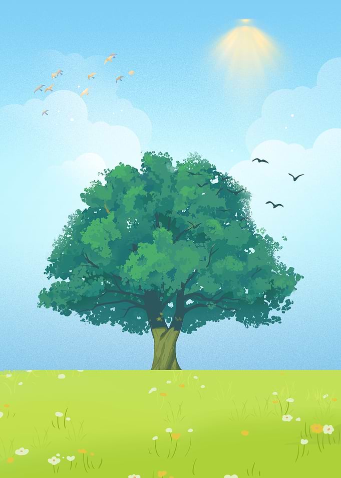 Tree of Calm Skies