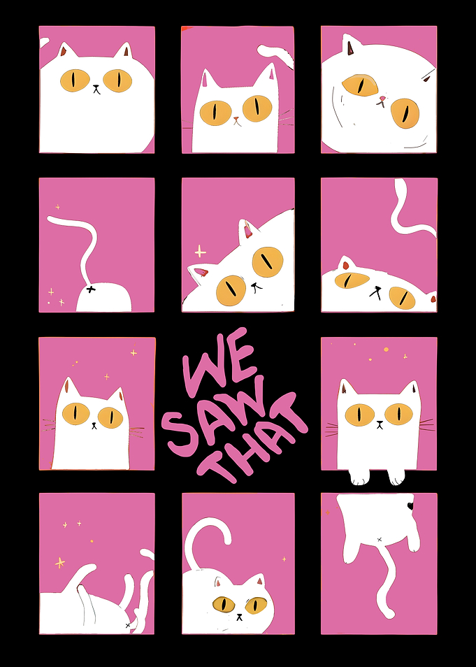 Cats in Windows - We Saw That