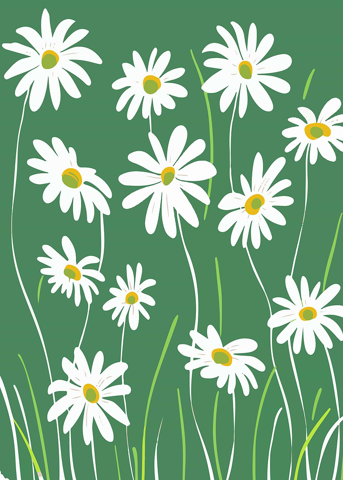 Daisy Flowers on Green Background