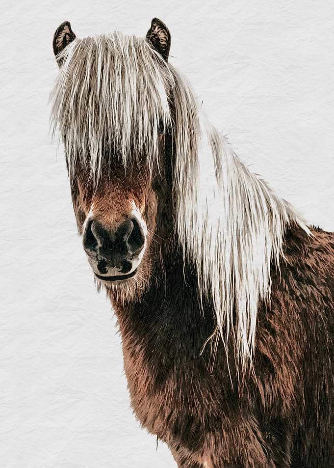 Brown Horse with Blonde Mane Portrait