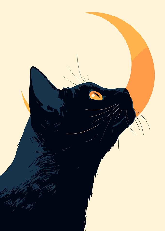 Black Cat and Crescent Moon Minimalist Art Illustration