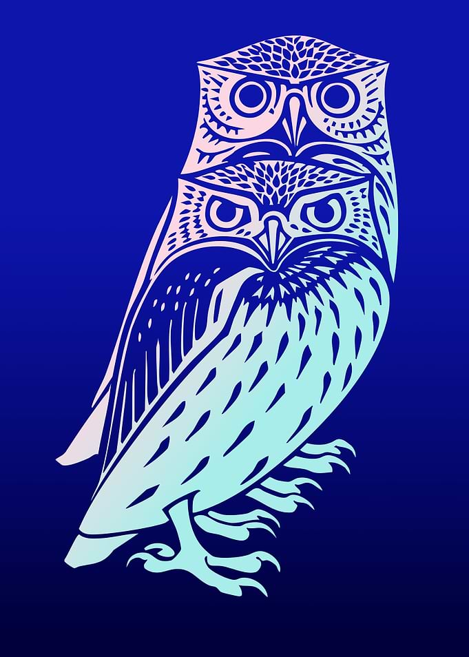 Two Owls At Night