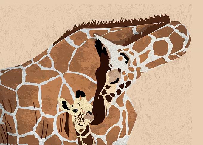 Giraffe Mother and Baby Illustration