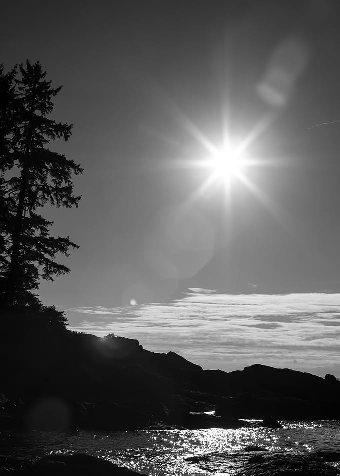 Black and White Coastal Landscape