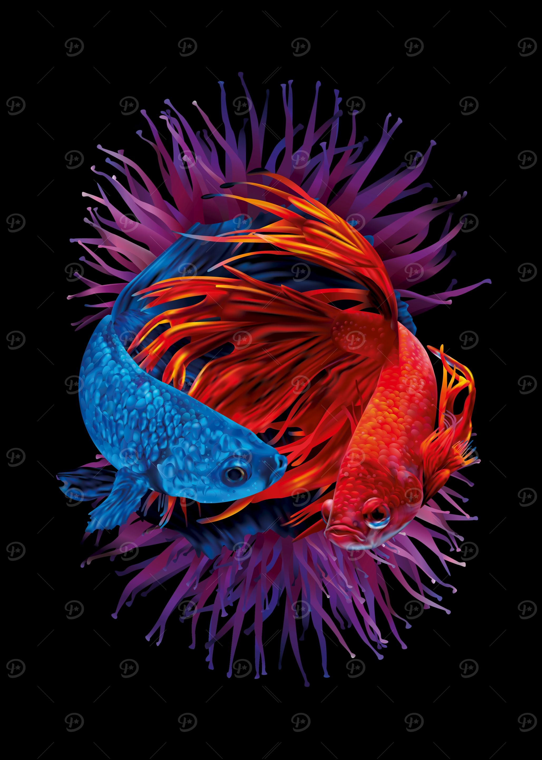 Red and Blue Betta Fish Art