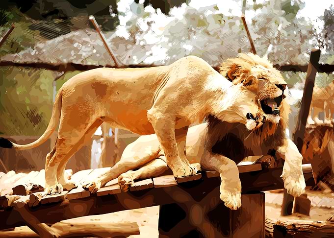 Two Lions on a Wooden Structure