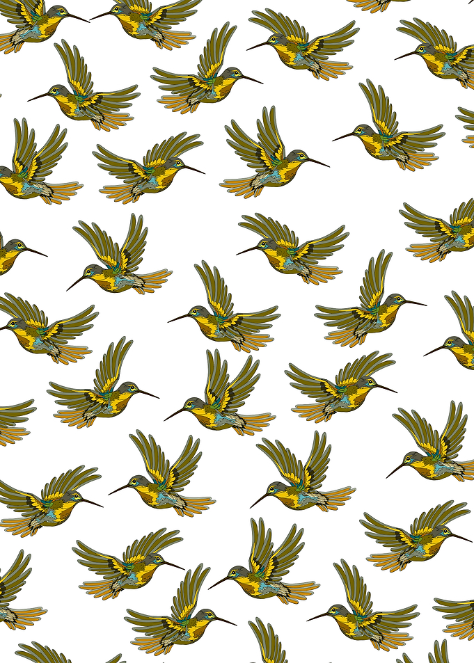 Hummingbird Pattern on White Background