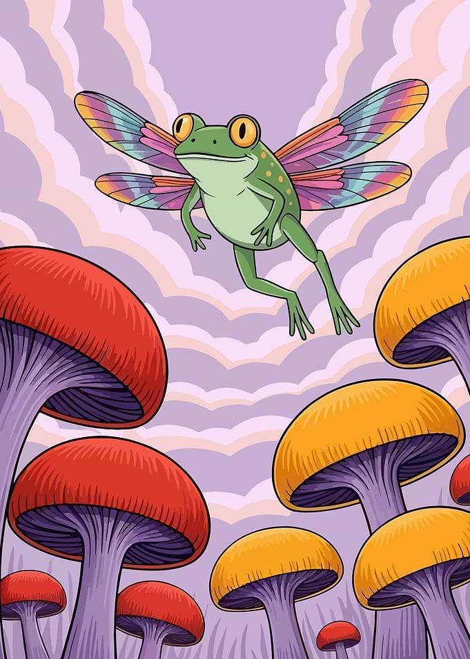 Flying Frog Fairy Cartoon Illustration