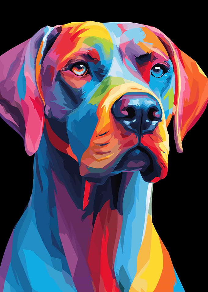 Colorful Dog Portrait on Black Background