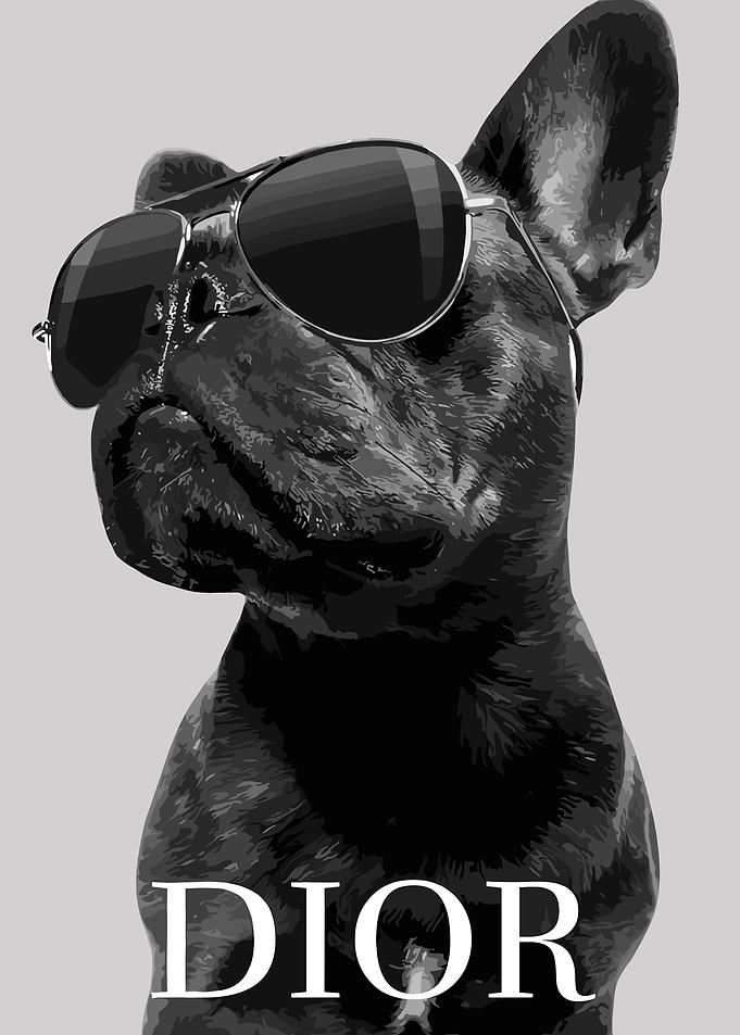 Cool Dog with Sunglasses