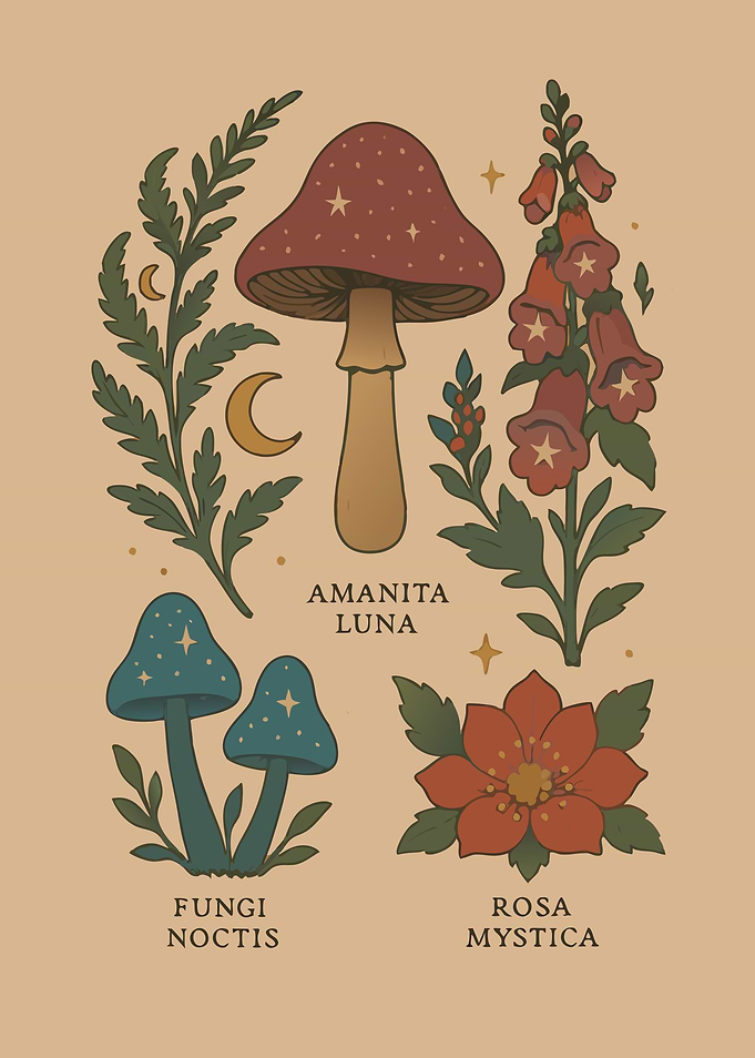 Botanical Illustration: Mushrooms and Flowers