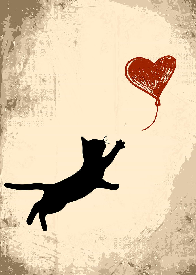 Cat heart Banksy inspired