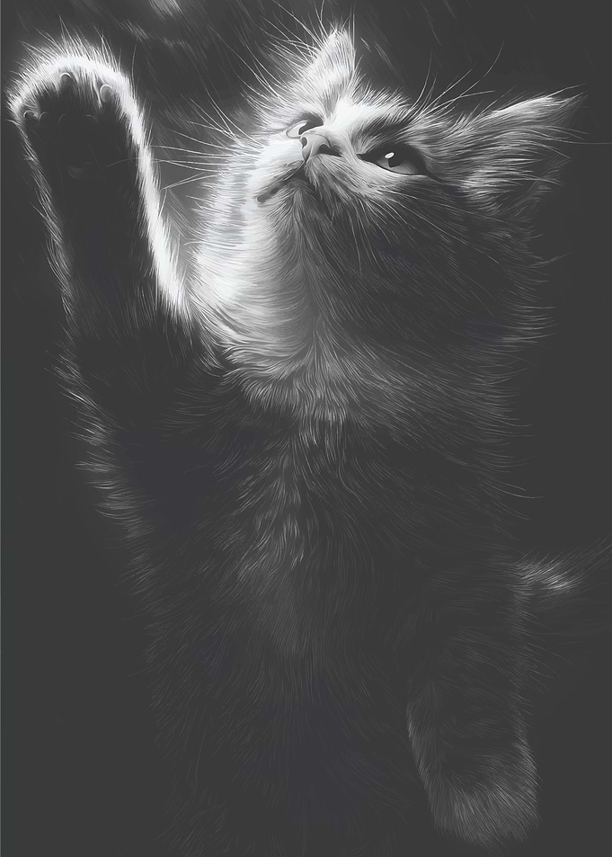 Reaching Kitten in Black and White