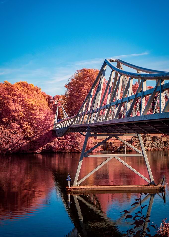Bridge over water with autumn trees
