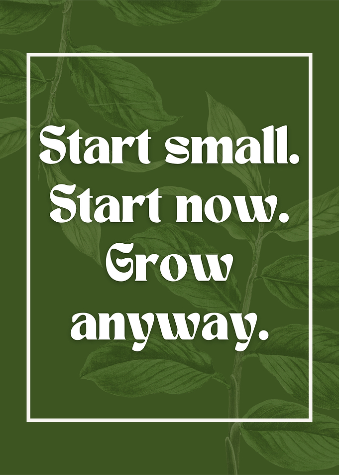 Growth Mindset – Start Small Inspirational Poster