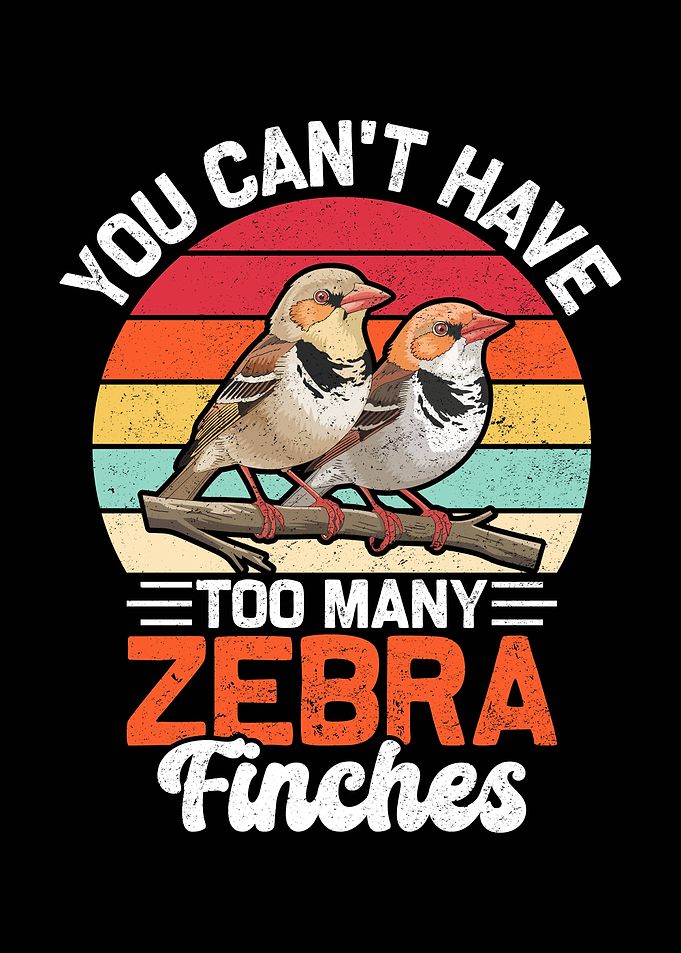 Zebra Finches Bird Lover