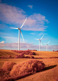 Wind Turbines in Field