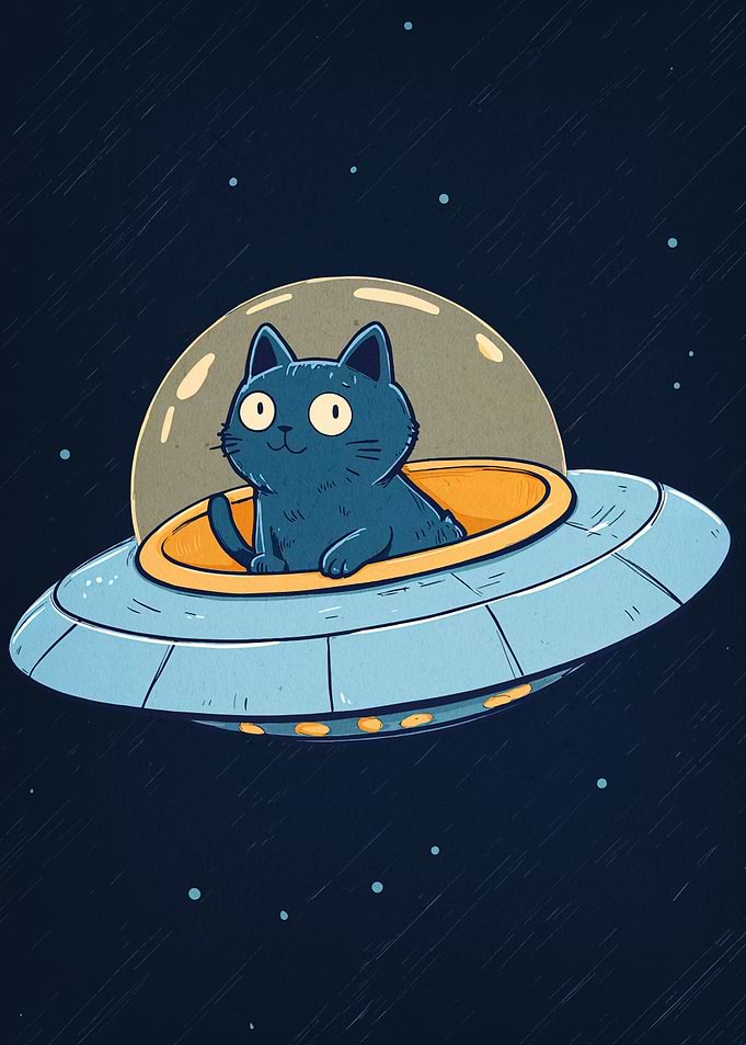 Cat in UFO