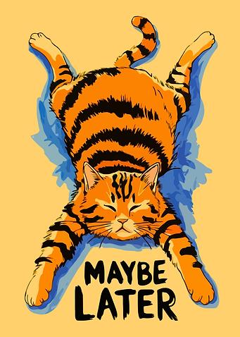 Lazy Cat