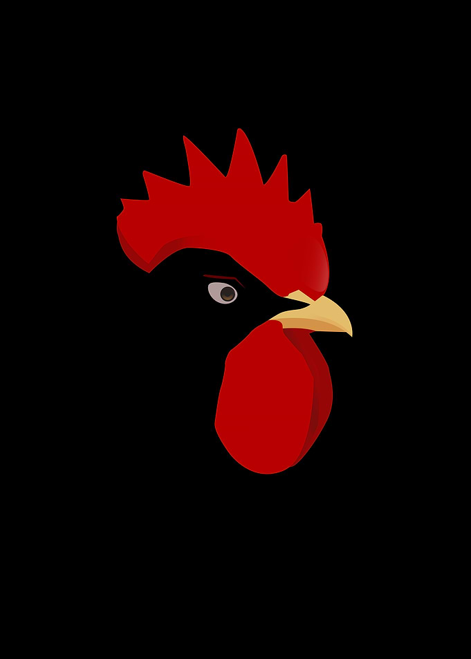 Rooster Head Illustration