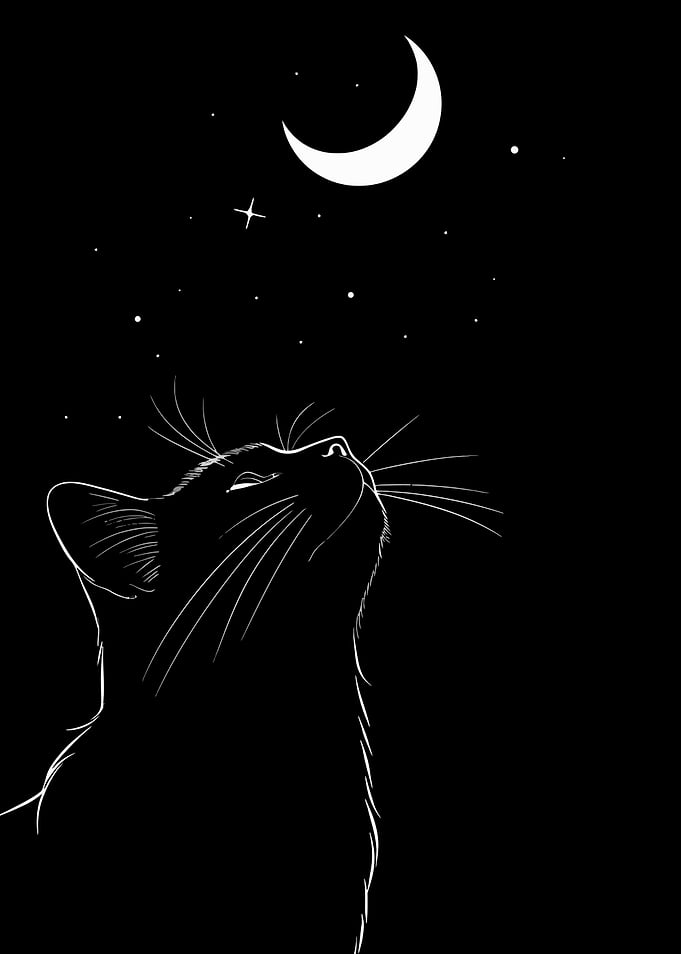 Cat The Moon