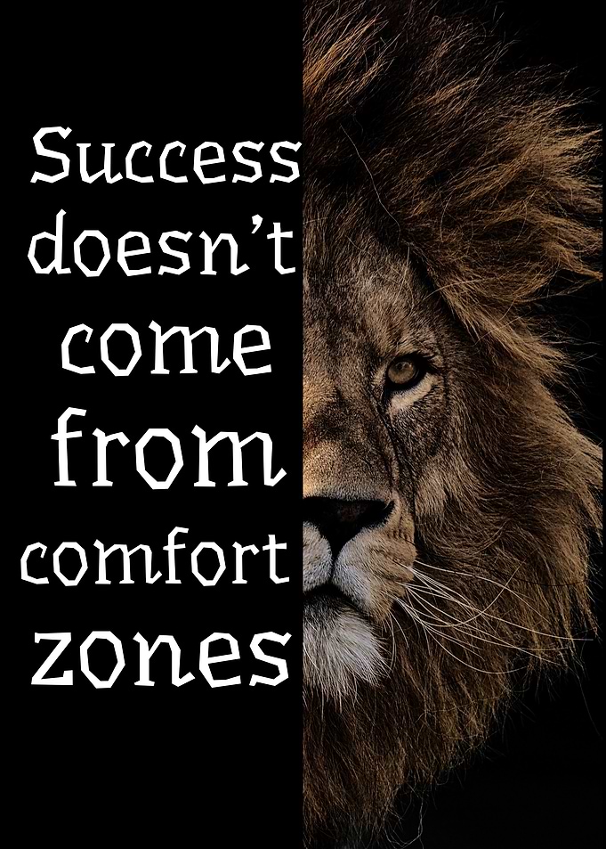 Lion Motivation: Success and Comfort Zones