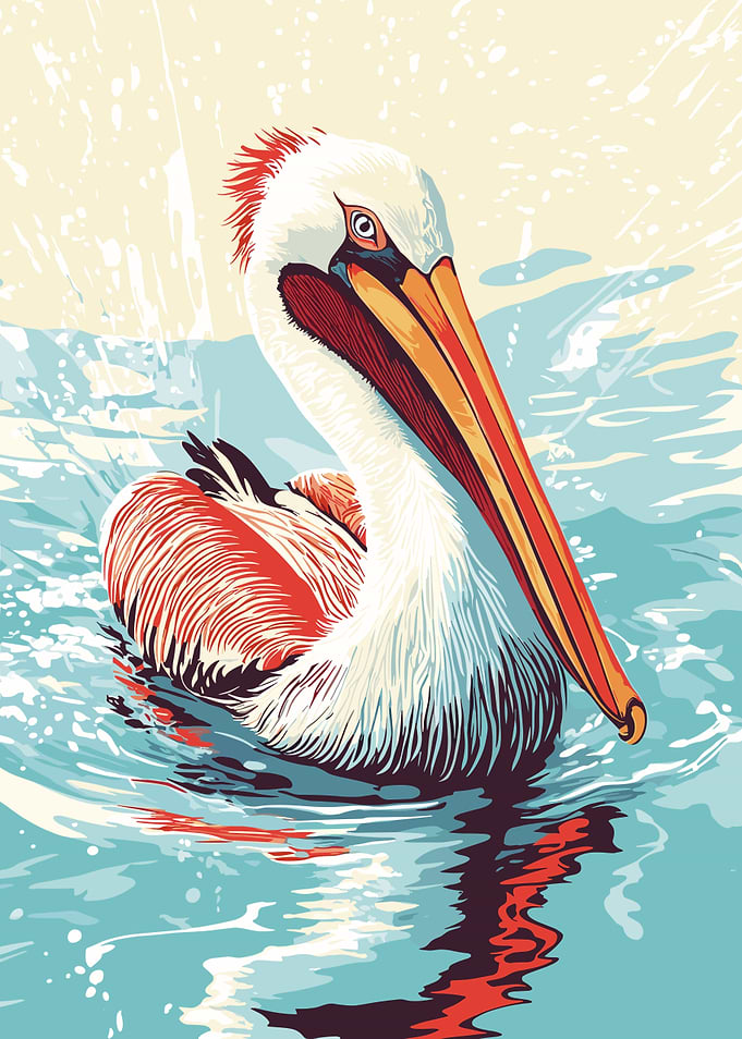Pelican in Water Illustration