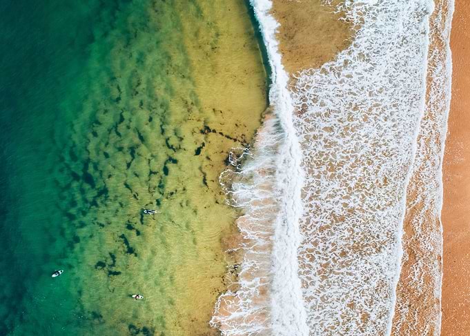Surfers and Waves
