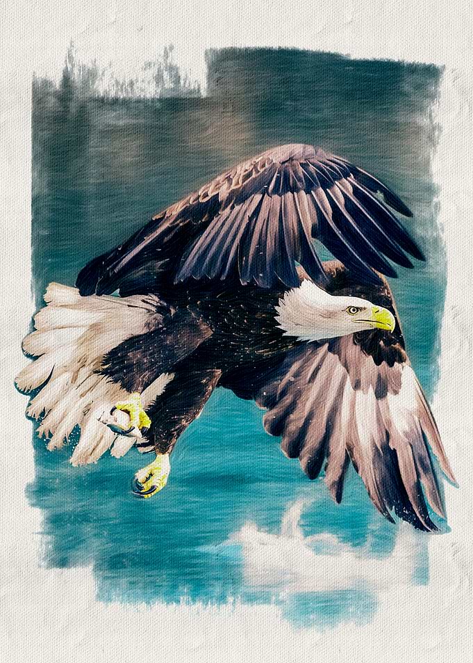 Bald Eagle in Flight Painting