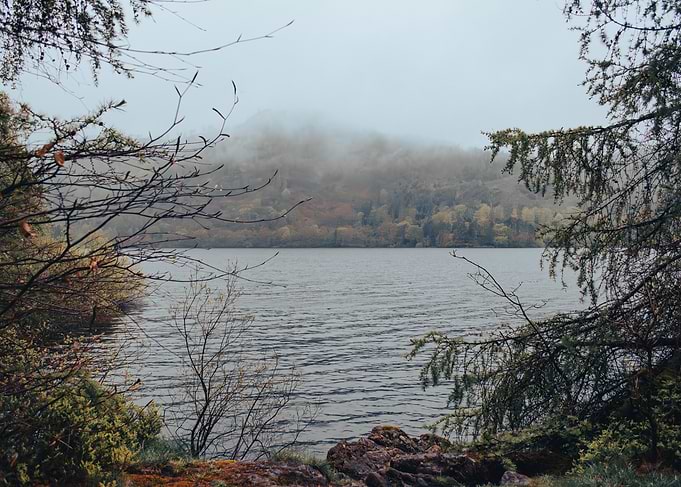 Misty Lake
