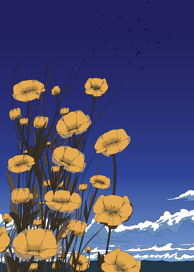 Yellow Flowers Against a Blue Sky