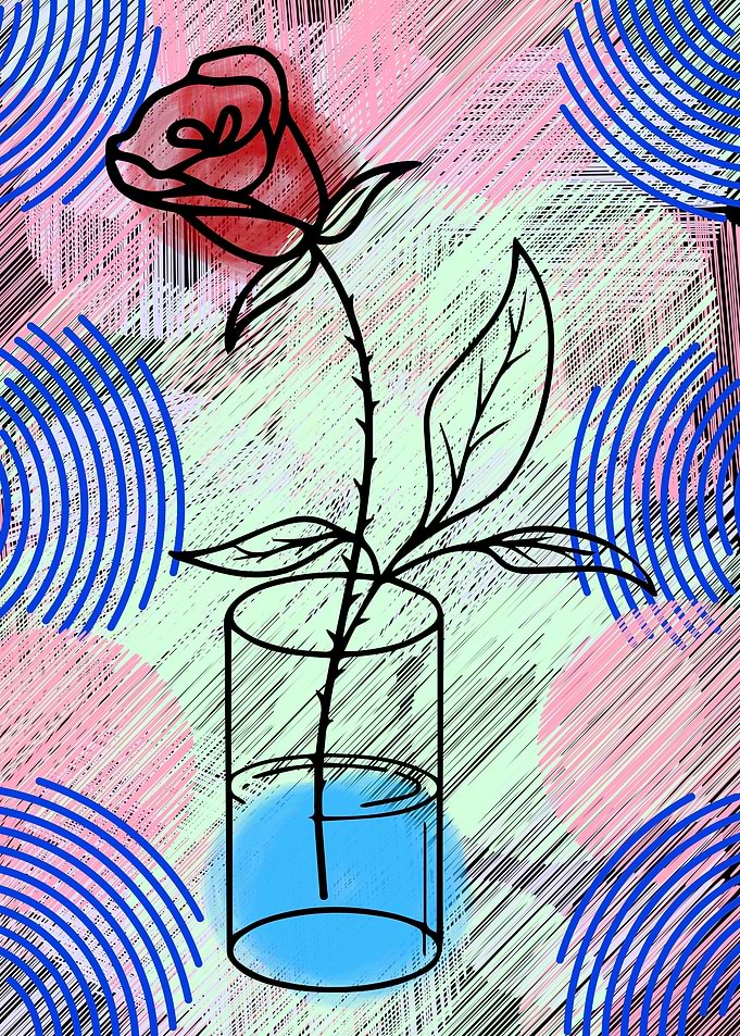 Rose in Vase