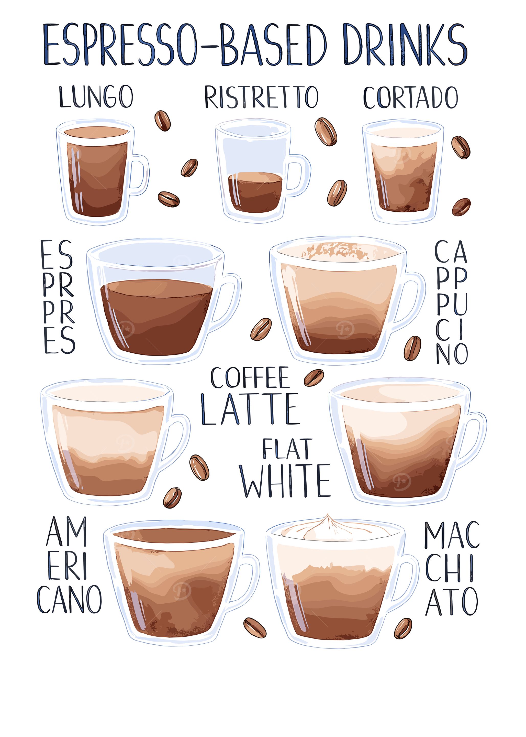 Espresso-Based Drinks Illustration