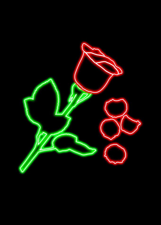 Neon Rose with Petals on Black