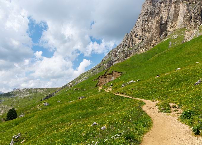 Mountain Trail Landscape